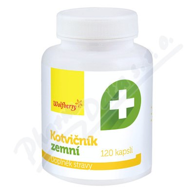 Kotvičník zemní cps.120 Wolfberry