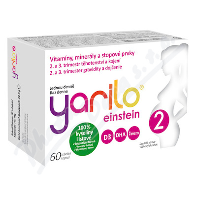 YARILO einstein 2 tob.60